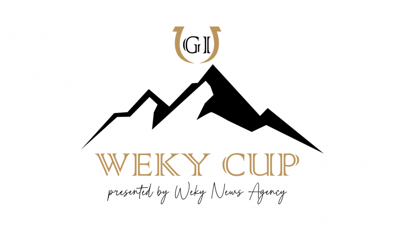 文件:WEKY CUP.png